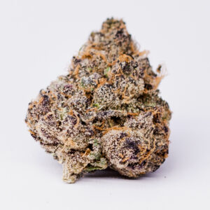GELATO #33